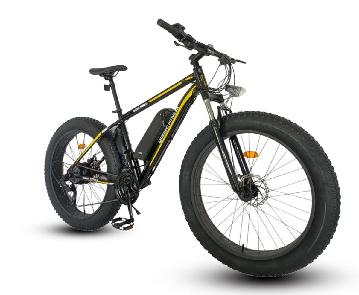 summer-sale-ete107-fat-electric-bike-fitnessvitality