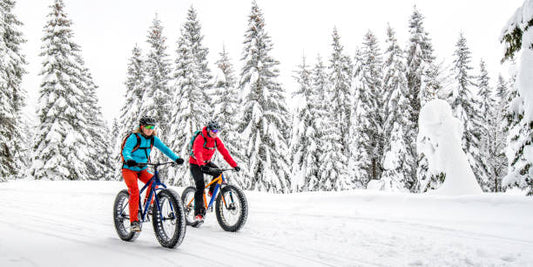 Fat Tire Biking Techniques: Essential Techniques for Navigating Different Terrains on a Fat Tire Bike